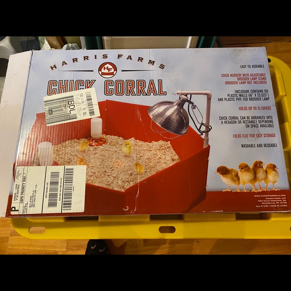 Chick corral